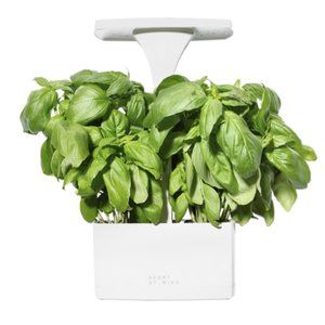 Short Stories LED Indoor Planter
